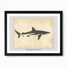 Blacktip Reef Shark Silhouette 1 Po Framed Wall Art Poster Canvas Print Picture