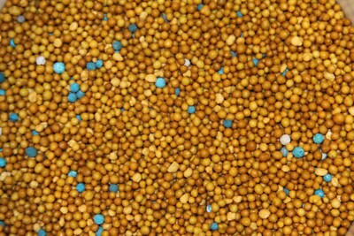 1 kg Langzeitdünger Osmocote 5 8-9 M Vollversorgung für  8-9 Monate