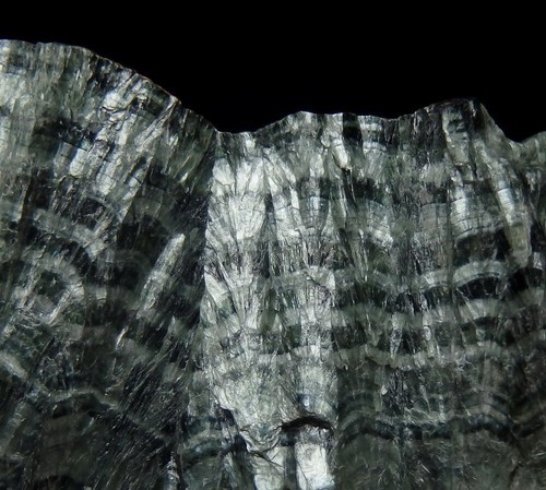 CLINOCHLORE var. SERAPHINITE Russia Zheleznogorsk Korshunovskoye deposit /pj921 - Picture 5 of 14