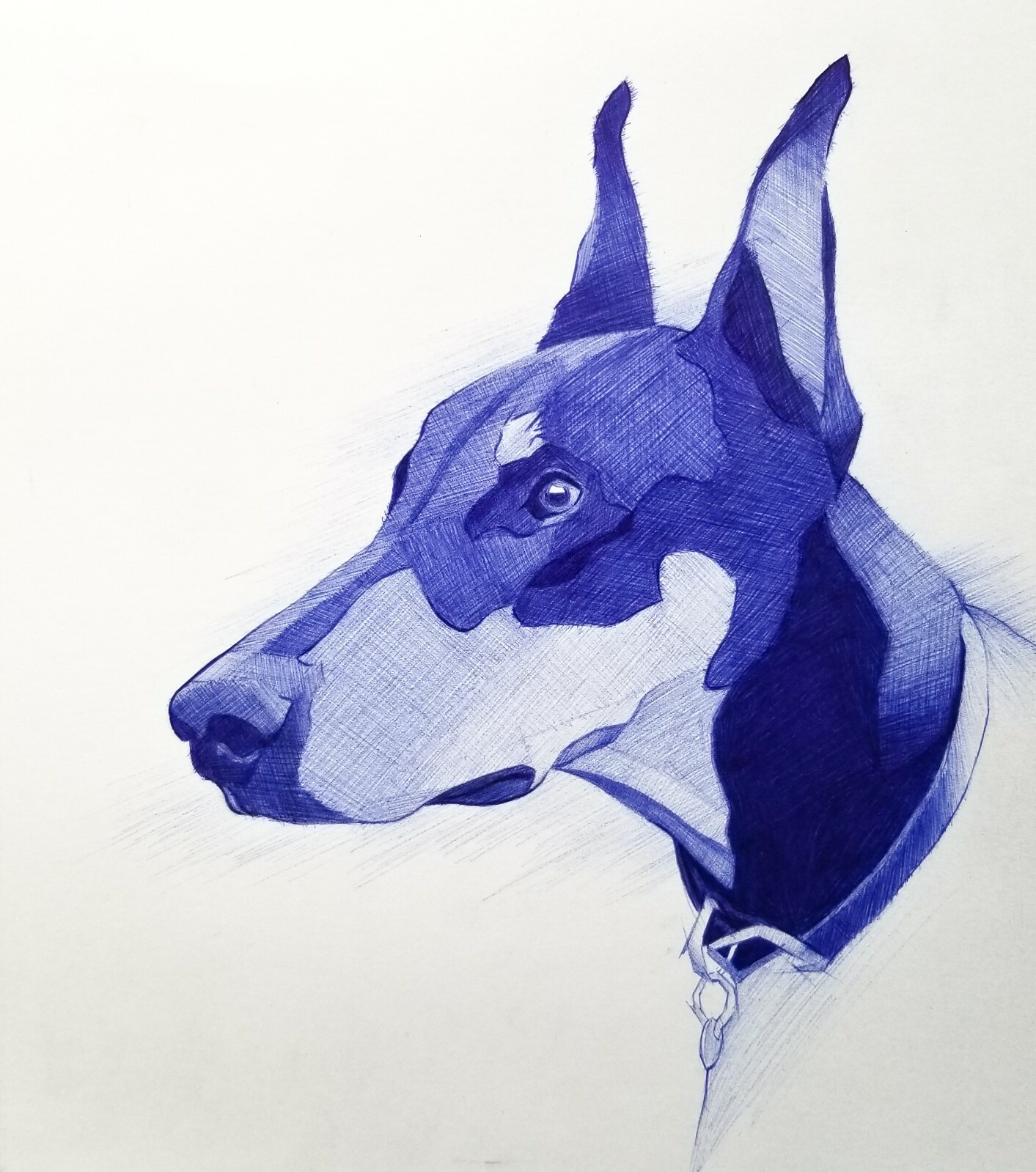 doberman artwork
