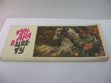 Vintage USSR Romania Info Color Flower Cards (8) тунара в цвету TUNARI IN BLOOM