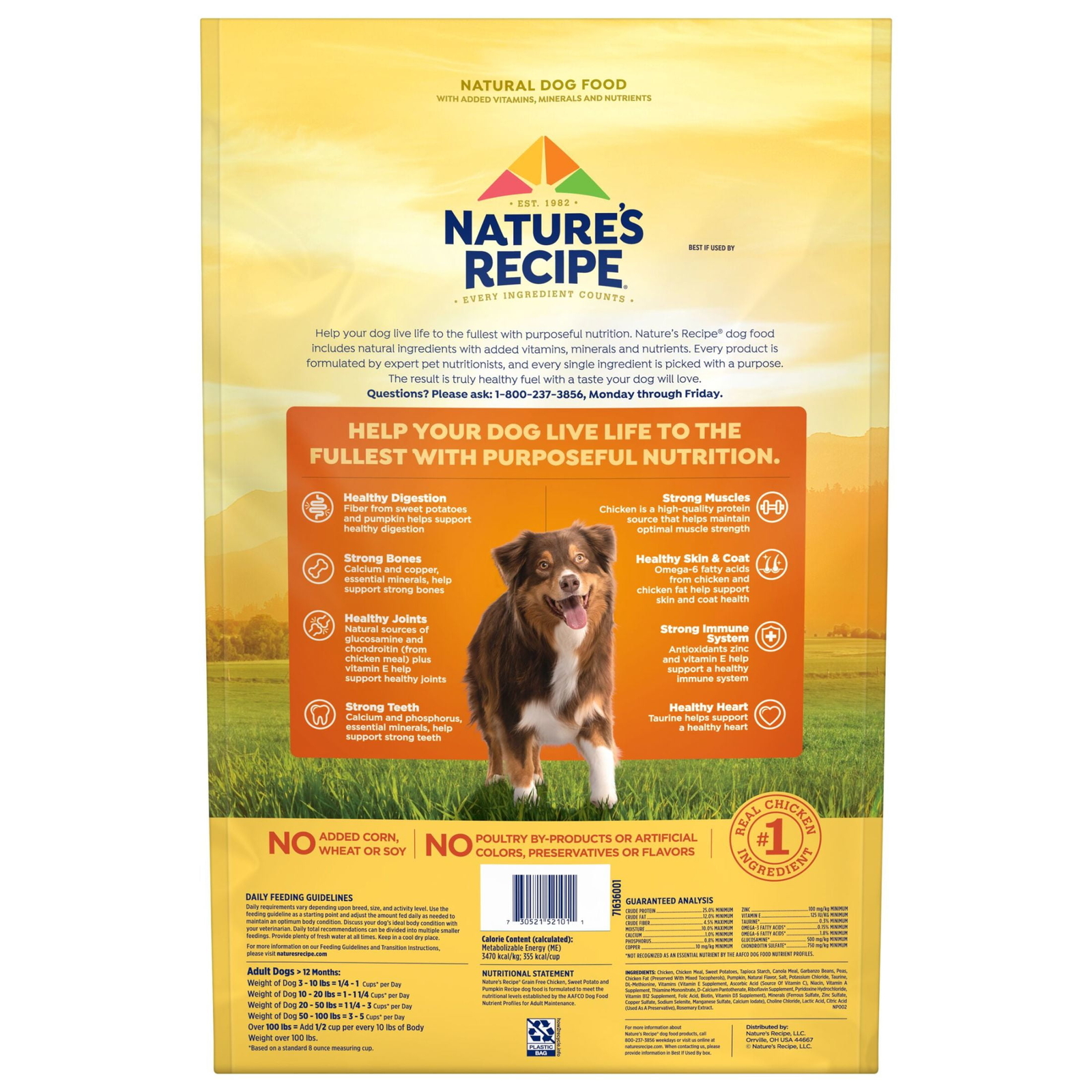 Nature&prime;s Recipe Grain Free Chicken, Sweet Potato & Pumpkin Recipe Dry Dog Food,
