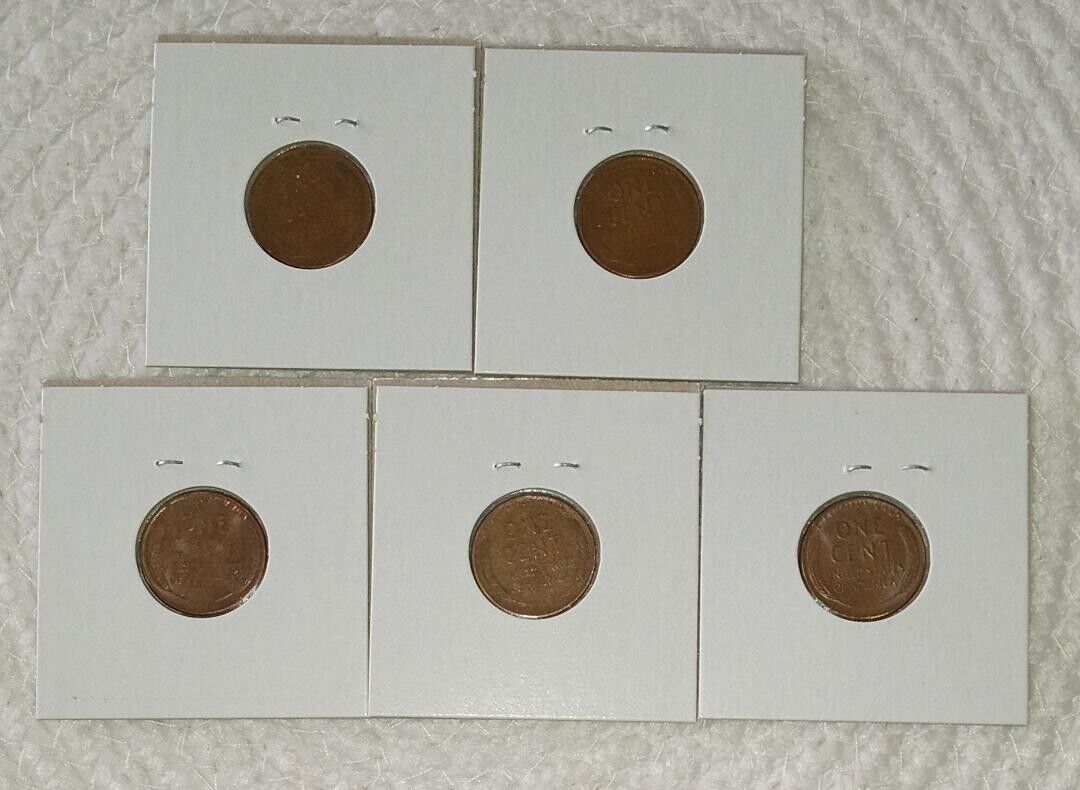 Picture 4 of 4