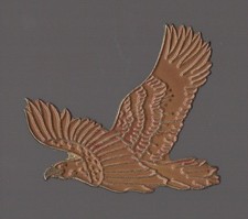 Pin's aigle