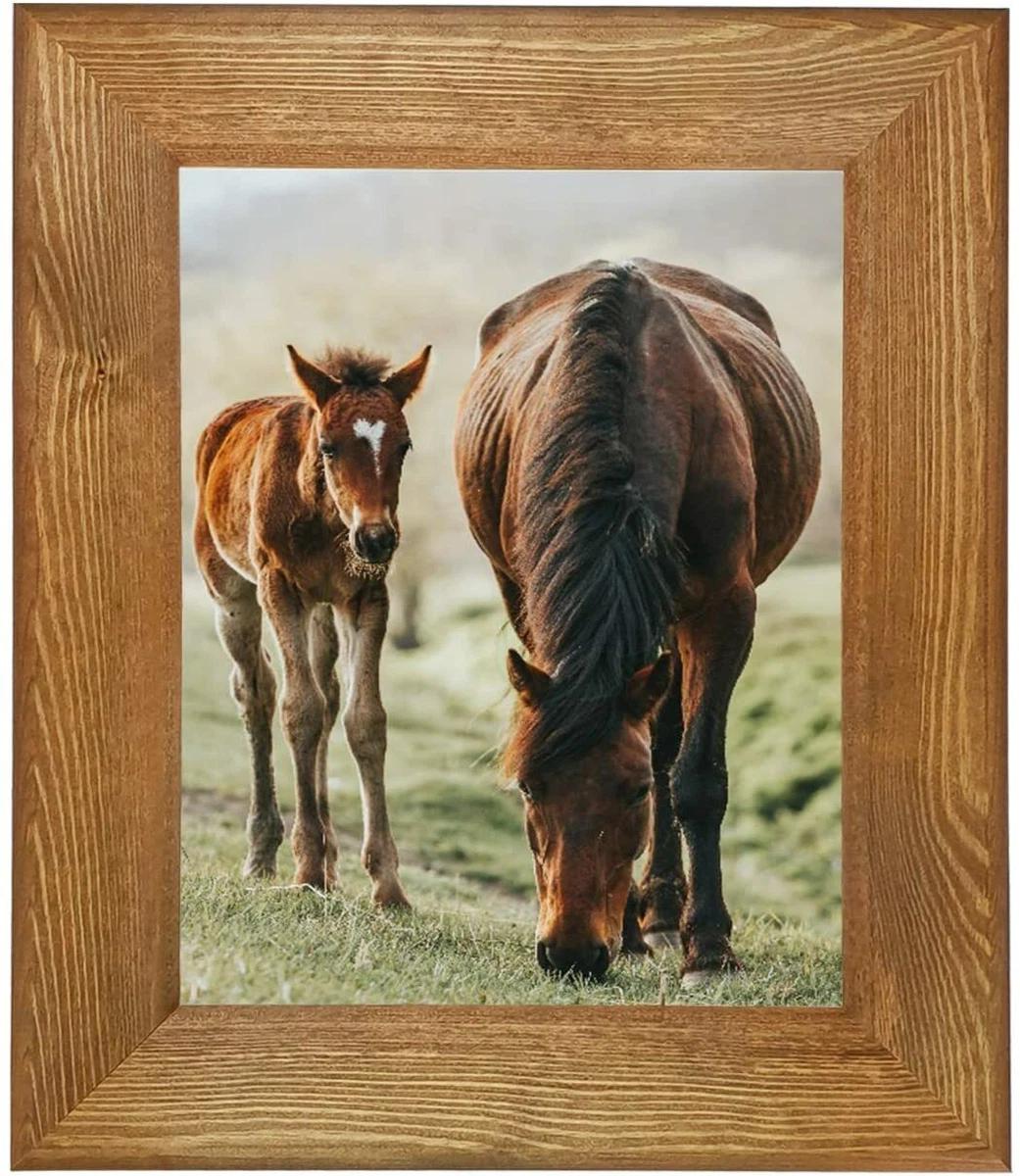 Large Poster Frames Uk