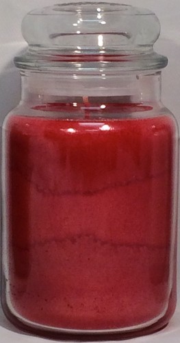 RARE Yankee Candle HOLIDAY 22oz LARGE JAR RETIRED WINTER LIMITD ED SCENTS U PICK - Picture 85 of 230