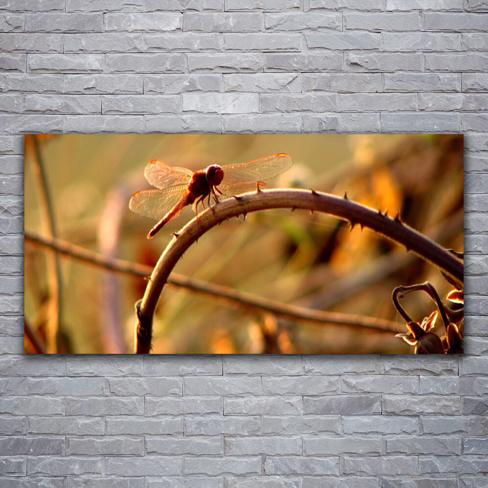 Impression sur verre acrylique de qualité galerie motif libellule 120x60