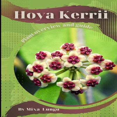 Hoya Kerrii Plant overview and guide Mixa Lungu Paperback Amazon