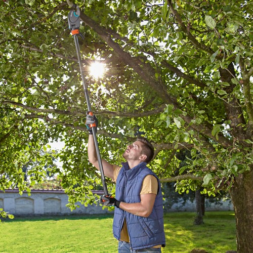 Gardena StarCut 160 Plus Tree Pruner and Loppers 1.6m eBay