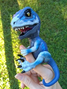 fingerling dinosaur blue
