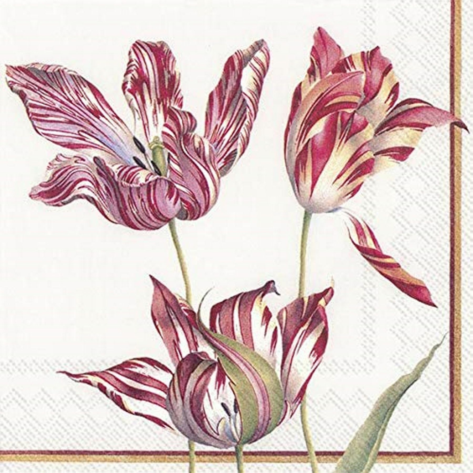 Paper Lunch Napkins Three Tulips White Party BBQ 3-ply Disposable Serviettes