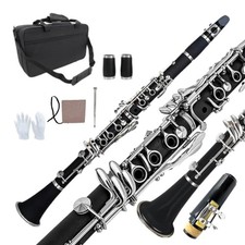 Clarinetto Bb per Principianti e Studenti - Clarinetto Piatto Professionale B 17 Tasti con...