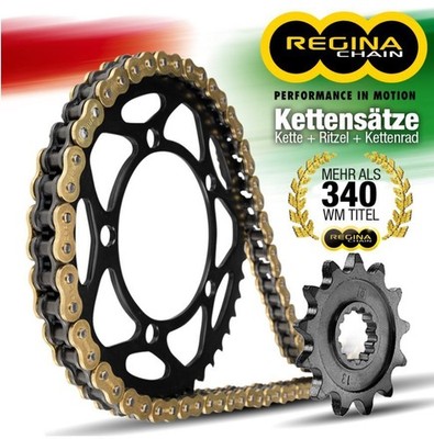 REGINA Kettensatz KettenKit für MZ SM 125 