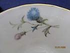 Vingtage Royal Albert Tea Cup & Saucer "Brigadoon" - Gorgeous! - — photo 6