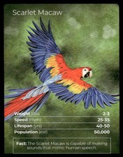 Life TCG Scarlet Macaw 57/130 1st Edition Full Art 2025 NM