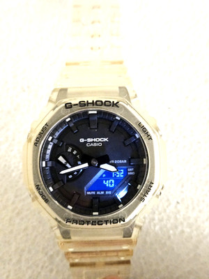Casio G-Shock  GA-2100 SKE Watch SKU 119