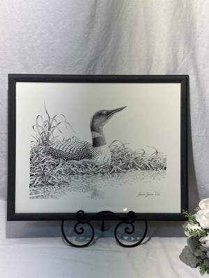 James Zenner Framed, Signed and numbered print - Loon On Nest 1986 # 555/1500