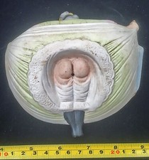 RARE EROTIC Bottoms Up  GEISHA SCHAFER VATER Style Japanese YELLOW PERIL