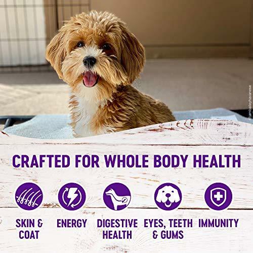 Wellness Complete Health Natural Dry Small Breed Healthy Weight Dog Food, Turkey