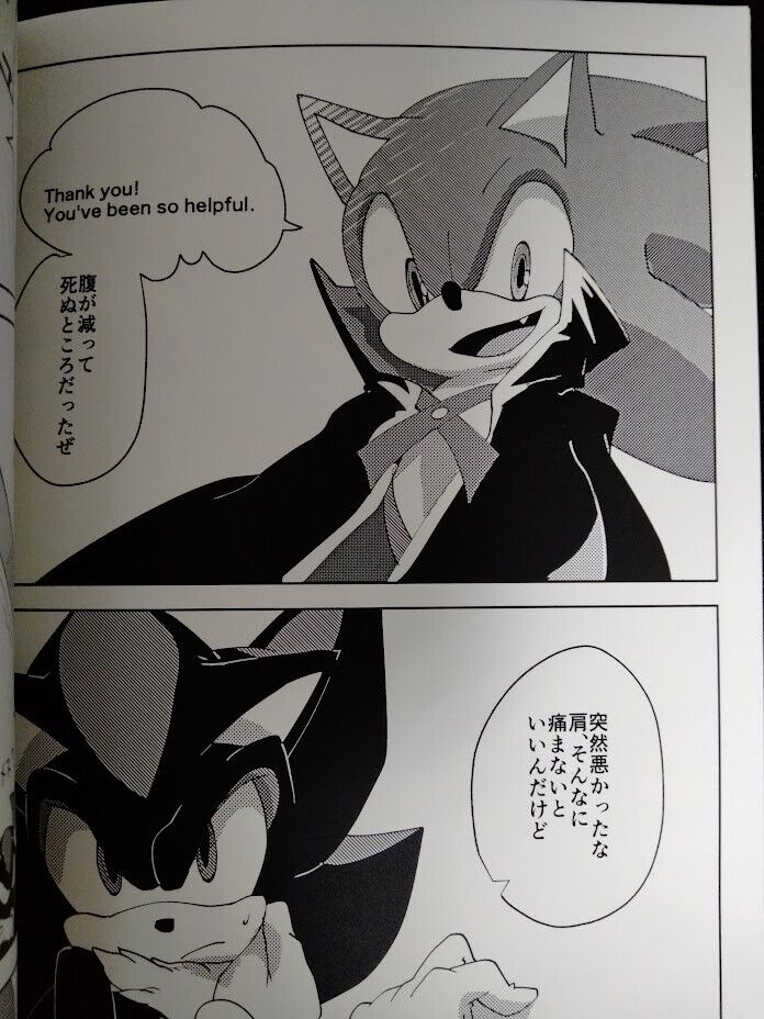 Sonic the Hedgehog Doujinshi Shadow x Sonic (A5 20pages