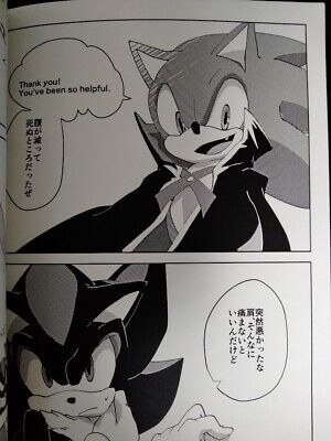 Sonic the Hedgehog Doujinshi Sonic X Shadow (B5 50pages) ROOT8Beat