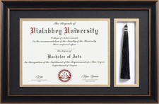 11x17 Diploma Frame with Tassel Holder Black for 8.5x11 Certificates Document, C