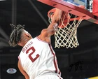 Trevon Brazile Arkansas Razorbacks Signed Basketball 8x10 Photo PSA