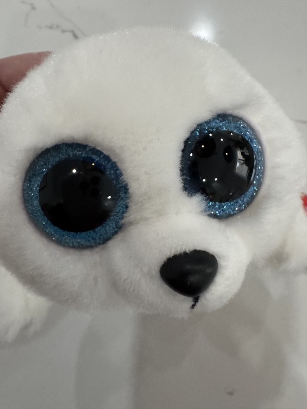 RETIRED TY Beanie Baby  ICY THE SEAL 6 INCH Big Eyes