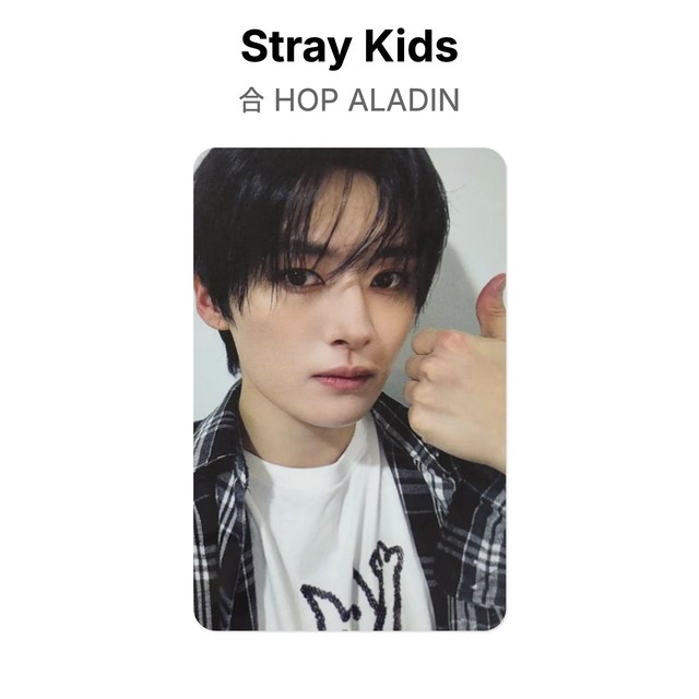 Stray Kids 合 HOP ALADIN Official Photocard KPOP Special Gift