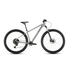 Aim Pro 29 10V 100Mm Greigentitan 2026 Cube Mountain Bike