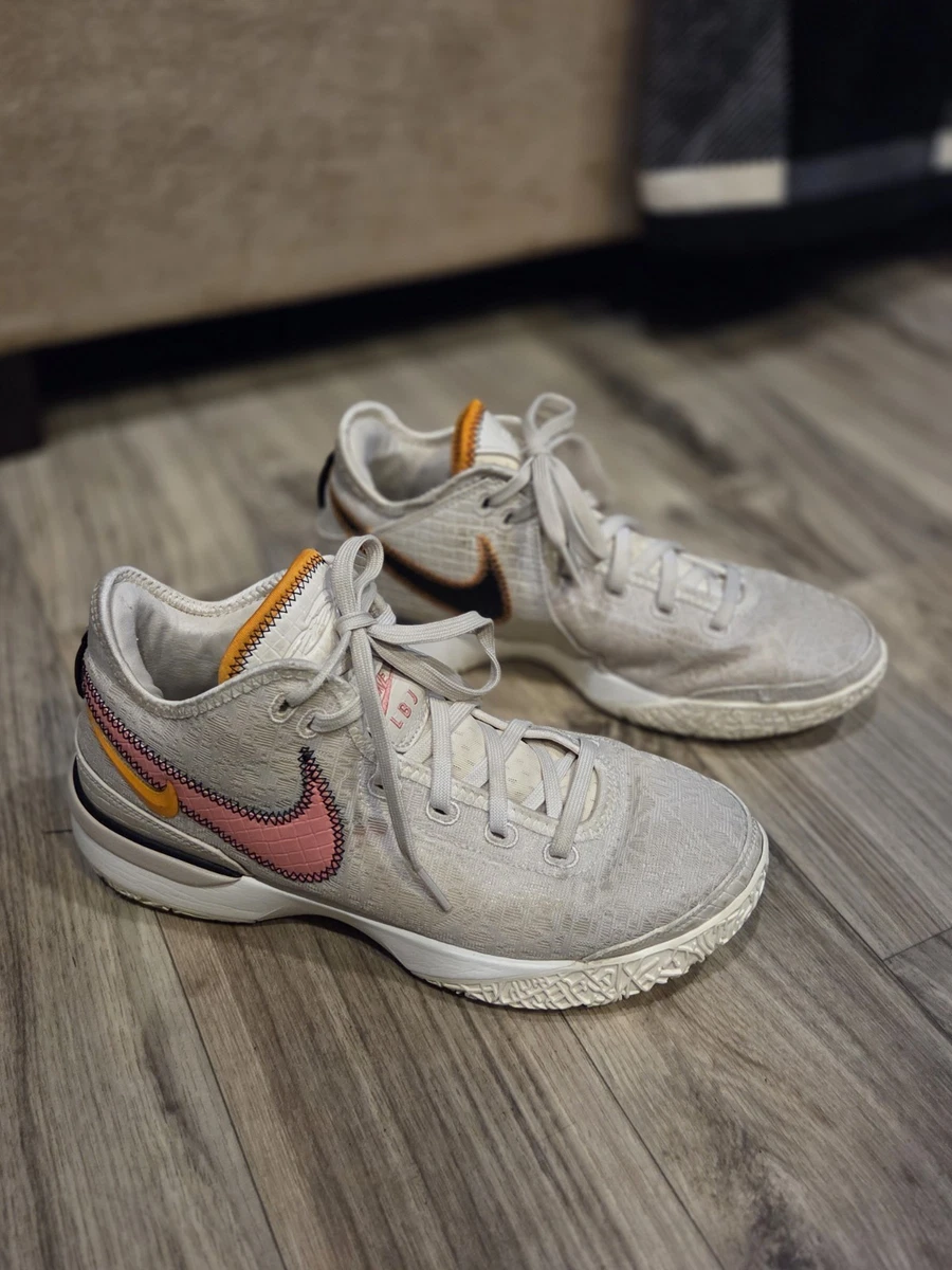 Nike Zoom LeBron NXXT Gen EP Da Vinci for Sale | Authenticity