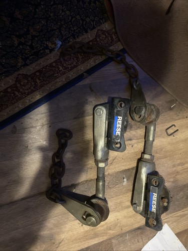 Reese Dual Cam Sway Control Assembly