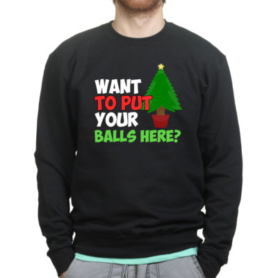 Put Balls Here Funny Christmas Party Xmas Gift Sweatshirt