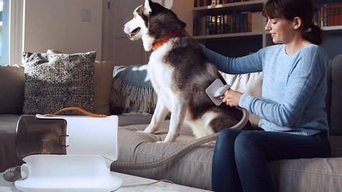 PG100 Aspirapolvere per Cani, Toelettatura E Aspirazione Vuoto per Animali Domes - Foto 6 di 8