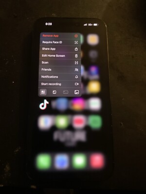 iPhone 14 Pro Max With #TikTok INSTALLED