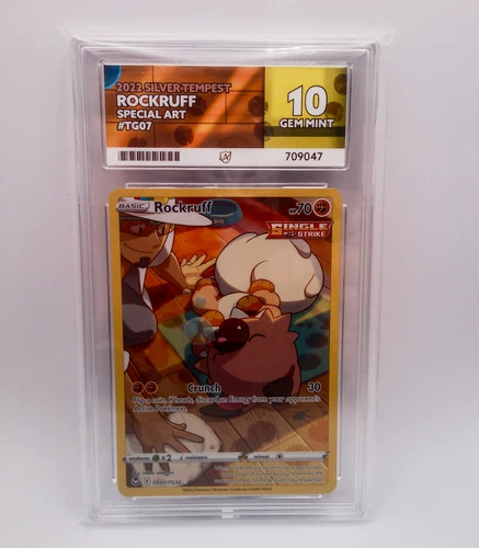 Rockruff Silver Tempest (Special Art) TG07 Ace Grading Gem Mint 10