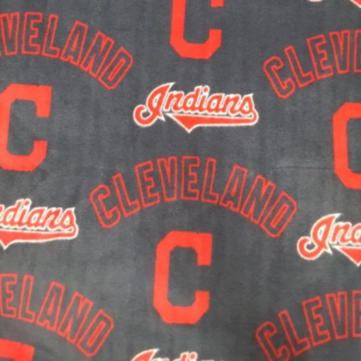 #ad Indians Fleece Precut 1 Yard $5.84