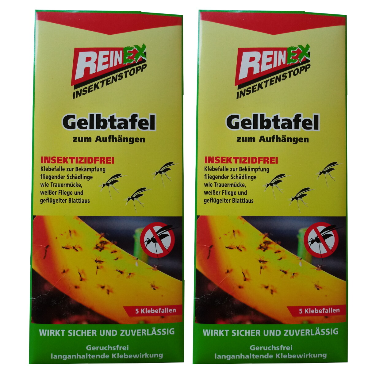 2x REINEX InsektenStopp Gelbtafel Klebefalle Trauermücke Blattläsue