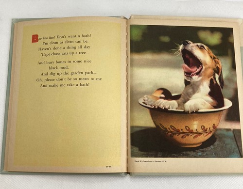 Lot Of 3 Rand McNally Jr Elf Books Kittens And Puppies /The Busy Book /Growing - Bild 6 von 13