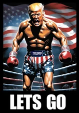 TRUMP 2025 STICKER DECAL LETS GO ANTI DEMOCRAT  MAGA DECAL GOP NRA FJB GOP