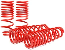 Skunk2 Lowering Springs for 94-01 Acura Integra (2.50in - 2.25in.) (Set of 4)