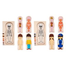Human Body Puzzle Human Body Structure Wooden Puzzle for Children Study
