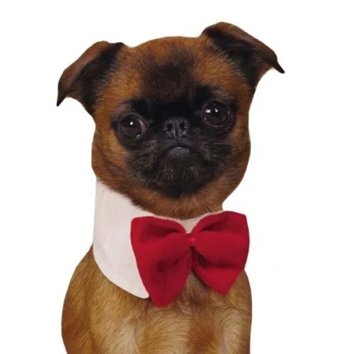 Male dog cheap bow ties