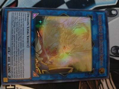 Protector Whelp Protector Whelp of the Destruction Swordsman - DUOV-EN008 - Ultra Rare ...