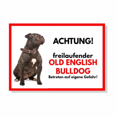 Old English Bulldog 2 Freilaufender Hund Dog Schild Spruch Türschild Hundeschild