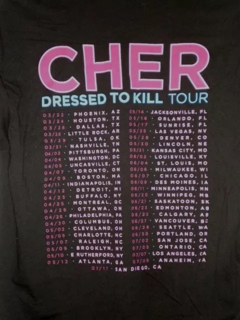 Cher t shirt clearance dress