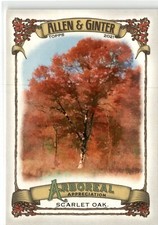 2021 Topps Allen and Ginter Arboreal Appreciation #AA6 Horse Chestnut -