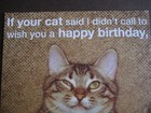 UNUSED vintage greeting card American Greetings BIRTHDAY Cat A Big Fat Liar — photo 3