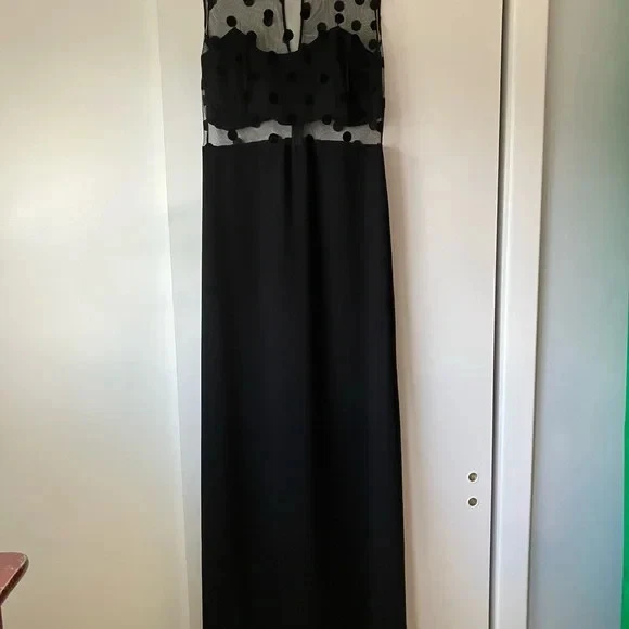 Jill Jill Stuart 透明黑色圆点连衣裙 6 码晚礼服正式 — 第 4/4 张图片