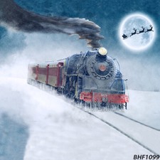 Christmas10'x10'Computer-painted Indoor Vinyl Scenic background backdrop BHF1099